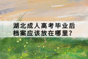湖北成人高考畢業(yè)后檔案應(yīng)該放在哪里？
