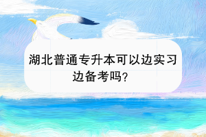 湖北普通專升本可以邊實(shí)習(xí)邊備考嗎？