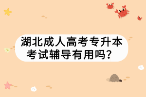 湖北成人高考專升本考試輔導(dǎo)有用嗎？