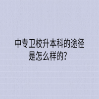 中專衛(wèi)校升本科的途徑是怎么樣的？
