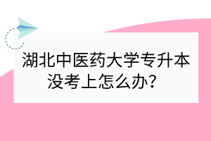 湖北中醫(yī)藥大學(xué)專升本沒考上怎么辦？