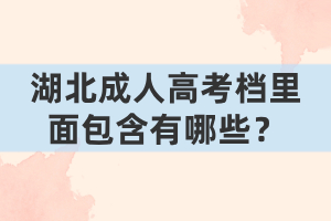 湖北成人高考檔里面包含有哪些？