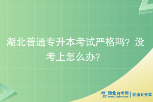 湖北普通專升本考試嚴格嗎？沒考上怎么辦？