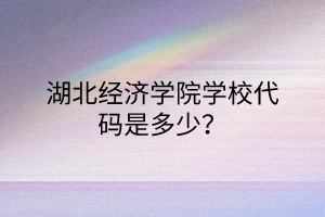 湖北經(jīng)濟學院學校代碼是多少？