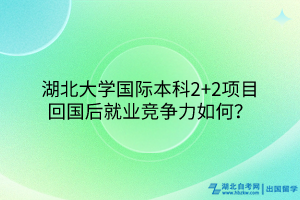 湖北大學國際本科2+2項目回國后就業(yè)競爭力如何？