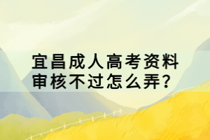 宜昌成人高考資料審核不過怎么弄？