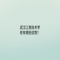 武漢江南技術(shù)學(xué)校有哪些優(yōu)勢？