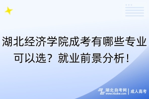 湖北經(jīng)濟(jì)學(xué)院成考有哪些專業(yè)可以選？就業(yè)前景分析！