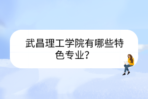 武昌理工學院有哪些特色專業(yè)？