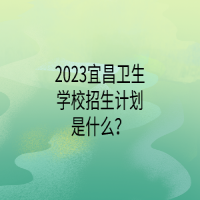 2023宜昌衛(wèi)生學(xué)校招生計(jì)劃是什么？