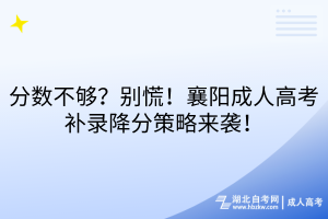 分?jǐn)?shù)不夠？別慌！襄陽(yáng)成人高考補(bǔ)錄降分策略來(lái)襲！