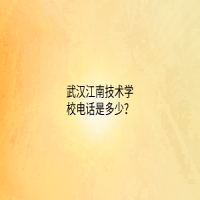 武漢江南技術(shù)學(xué)校電話是多少？