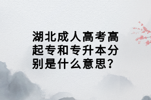 湖北成人高考高起專和專升本分別是什么意思？