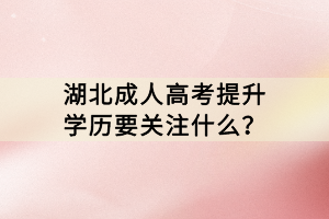 湖北成人高考提升學(xué)歷要關(guān)注什么？