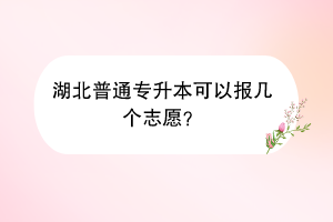湖北普通專升本可以報(bào)幾個(gè)志愿？