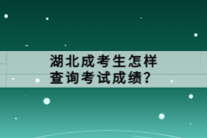 湖北成考生怎樣查詢考試成績？