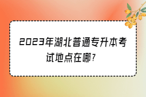2023年湖北普通專升本考試地點在哪？