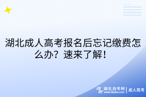 湖北成人高考報(bào)名后忘記繳費(fèi)怎么辦？速來(lái)了解！