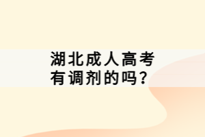 湖北成人高考有調(diào)劑的嗎？
