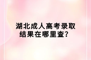 湖北成人高考錄取結(jié)果在哪里查？