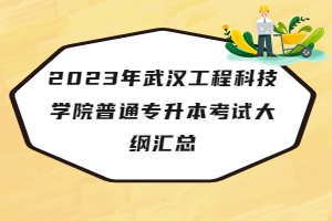 2023年武漢工程科技學(xué)院普通專升本考試大綱匯總