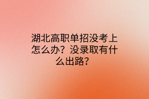 湖北高職單招沒考上怎么辦？沒錄取有什么出路？