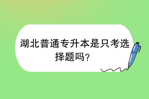 湖北普通專升本是只考選擇題嗎？