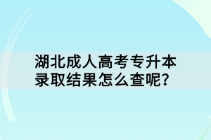湖北成人高考專升本錄取結果怎么查呢？
