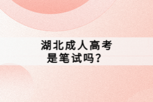 湖北成人高考是筆試嗎？