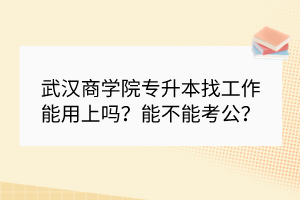 武漢商學(xué)院專升本找工作能用上嗎？能不能考公？