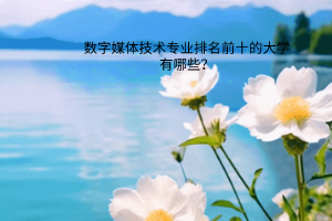 數(shù)字媒體技術(shù)專(zhuān)業(yè)排名前十的大學(xué)有哪些？