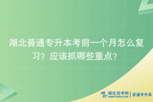 湖北普通專升本考前一個月怎么復(fù)習(xí)？應(yīng)該抓哪些重點？