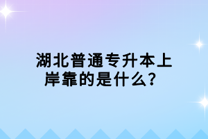 湖北普通專升本上岸靠的是什么？