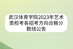 武漢體育學(xué)院2023年藝術(shù)類?？几髡锌挤较蚝细穹謹?shù)線公告