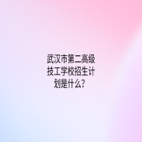 武漢市第二高級技工學(xué)校招生計劃是什么？