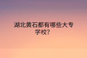 湖北黃石都有哪些大專學(xué)校？