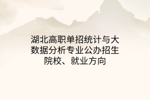 湖北高職單招統(tǒng)計(jì)與大數(shù)據(jù)分析專業(yè)公辦招生院校、就業(yè)方向