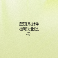 武漢江南技術(shù)學校師資力量怎么樣？