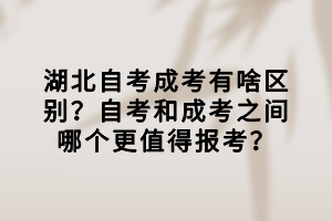 湖北自考成考有啥區(qū)別？自考和成考之間哪個更值得報考？