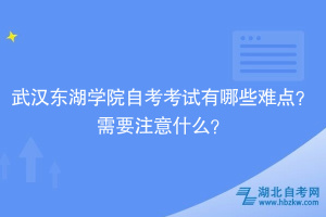 武漢東湖學院自考考試有哪些難點？需要注意什么？