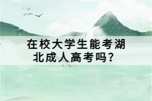 在校大學生能考湖北成人高考嗎？