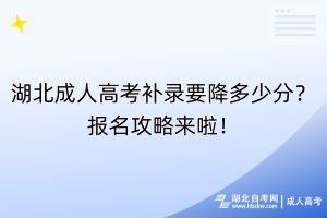 湖北成人高考補(bǔ)錄要降多少分？報(bào)名攻略來啦！