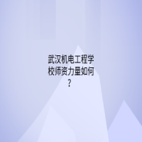 武漢機電工程學校師資力量如何？