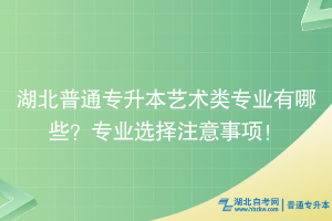 湖北普通專升本藝術(shù)類專業(yè)有哪些？專業(yè)選擇注意事項！