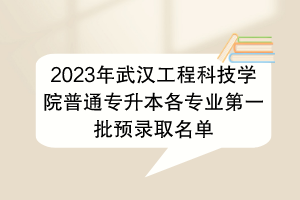 2023年武漢工程科技學院普通專升本各專業(yè)第一批預錄取名單