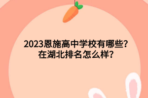 2023恩施高中學(xué)校有哪些？在湖北排名怎么樣？