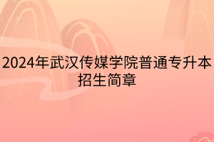 2024年武漢傳媒學(xué)院普通專升本招生簡章