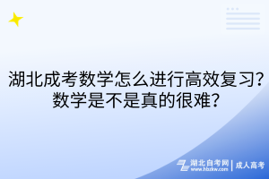 湖北成考數(shù)學(xué)怎么進(jìn)行高效復(fù)習(xí)？數(shù)學(xué)是不是真的很難？