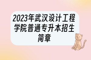 ?2023年武漢設(shè)計(jì)工程學(xué)院普通專升本招生簡(jiǎn)章