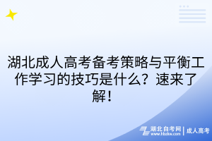 湖北成人高考備考策略與平衡工作學(xué)習(xí)的技巧是什么？速來了解！
